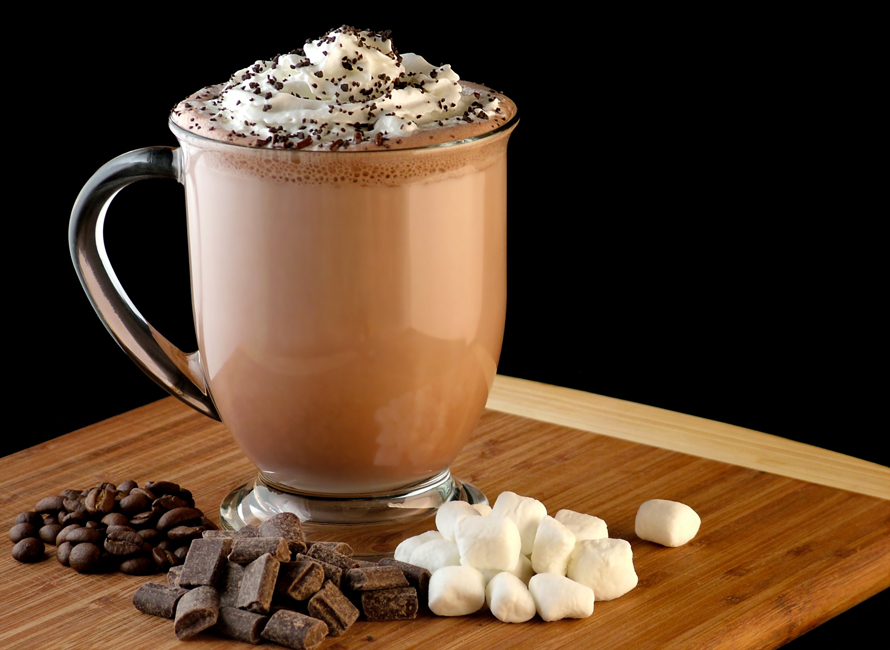 SILK Iced Chocolate and Mocha Concentrate - Image 2